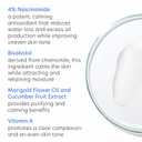 PCA SKIN Clearskin Lightweight Face Moisturizer for Oily Skin, Daily Hydrating Facial Moisturizer for Oily, Acne-Prone, and Sensitive Skin, Quick Absorbing, Reduces Discolorations, 1.7 oz Jar