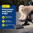 PetSafe Happy Ride PupSTEP HitchStep Dog Stairs, Folding Steps for Truck & SUV Hitches, for Medium to Large Dogs