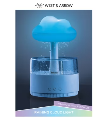West & Arrow  Raining Cloud Light 9" Height