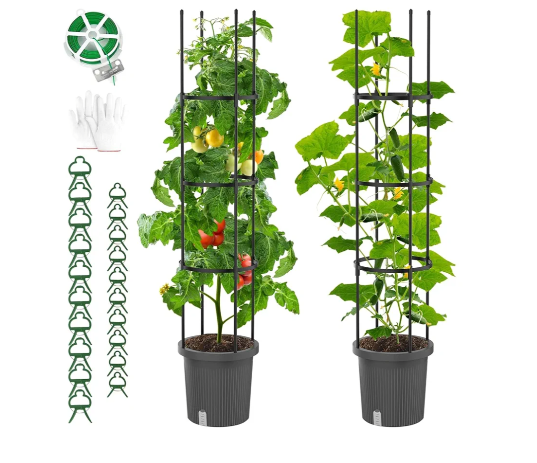 2 Pack Raised Garden Bed Tomato Planter with Trellis, Self Watering Planter Box with Trellis for Climbing Plants Outdoor, PE Coated Metal Tomato Cage Plant Support for Flowers Vegetable Indoor