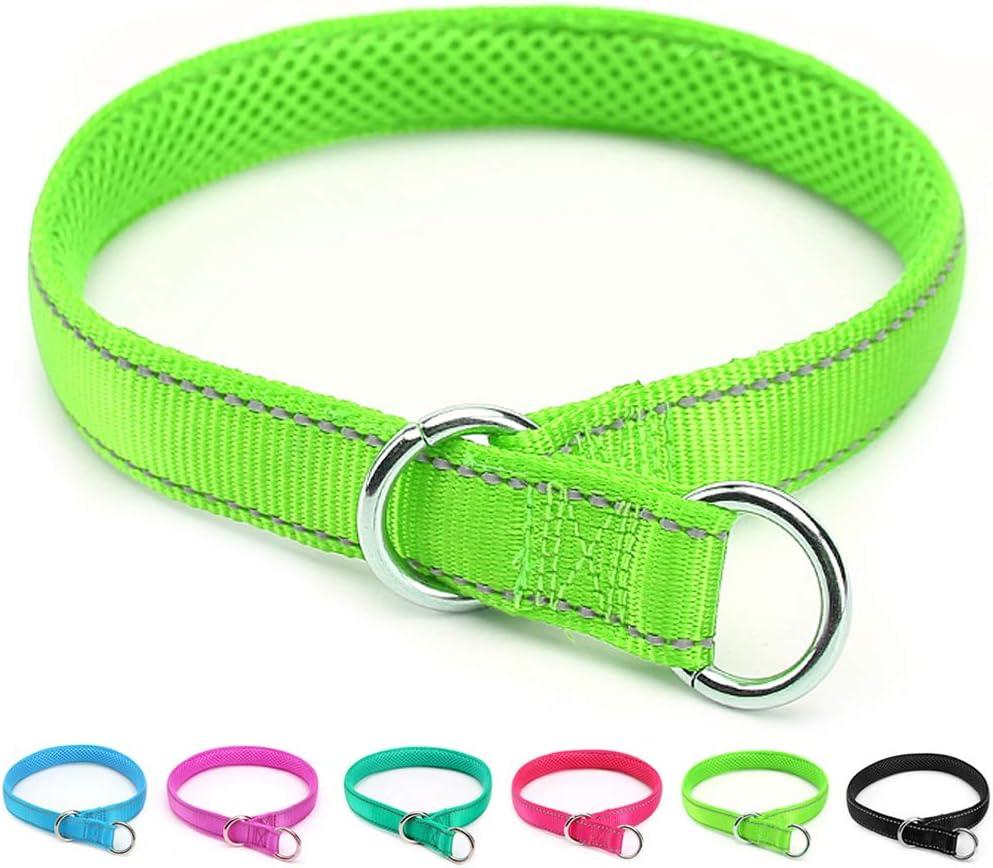 Reflective Slip Dog Collar, Loop Dog Collar for 44-75 lbs Dogs Nylon Training Collars with Soft Padded for Medium Dog Collars Green 1" W x 22" L (Fits Neck 15.7"-19.7")