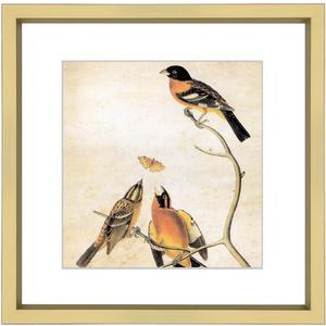 5x5 Picture Frame, Brass Metal Photo Frames with HD Glass, Fits 4x4 with Mat or 5 x 5 without Mat, Display for Wall and Table, 1 Pack