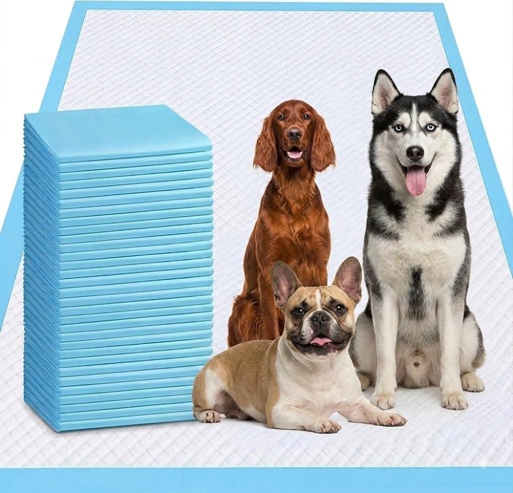 40 Count Potty Training Pads