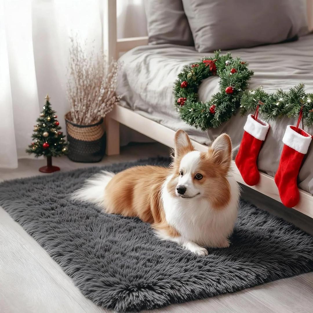 OLANLY 2x3 Machine Washable Small Bedside Rug, Soft Fluffy Shaggy Entryway Throw Rugs for Bedroom, Living Room, Indoor Floor Carpet for Kids Girls and Boys, Nursery Rooms, Home Decor Aesthetic, Grey