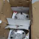 KUSATEC 512401 2pcs Rear Wheel Bearing and Hub Assembly Compatible with Scion FR-S, Subaru BRZ, Subaru Forester Legacy Outback WRX, 5 Lug