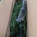 National Tree Company 9 ft Unlit Dunhill Fir Full Artificial Christmas Tree, 4,026 Tips, Includes Stand, Green