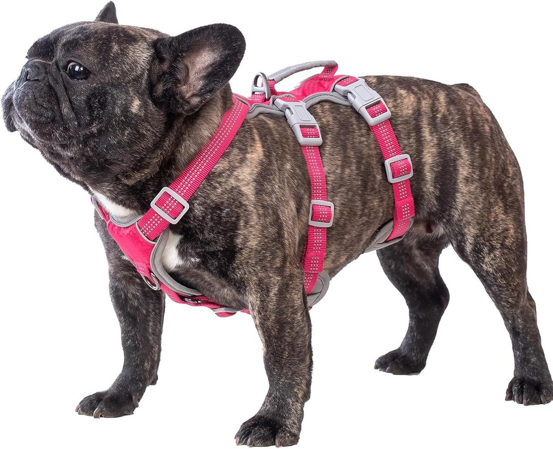 Huntboo Escape Proof Dog Harness, Escape Artist Harness, Reflective Harness with Padded Handle, Breathable, Durable, Adjustable Vest for Medium Dogs Walking, Training, and Running Gear (Rose red, M) (Medium(Pack of 1))
