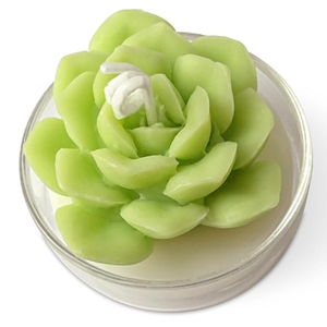 Realistic Succulent and Flower Candle Set in Glass Holder,  Soy Wax Candle with Strong Scent for Home Fragrance, Decor and Gifting