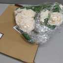 AmyHomie Artificial Flower Champagne Rose 25pcs Real Looking Fake Roses w/Stem for DIY Wedding Bouquets Centerpieces Arrangements Party Baby Shower Valentines Day Christmas Tree Decorations