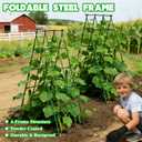 Heavy Duty Cucumber Trellis,2 Pack,No AssemblyGarden Trellis for Climbing Plants Outdoor,Cucumber Trellis, A-Frame Vegetable Frame,Vegetables Peas Beans Squash Cucumber