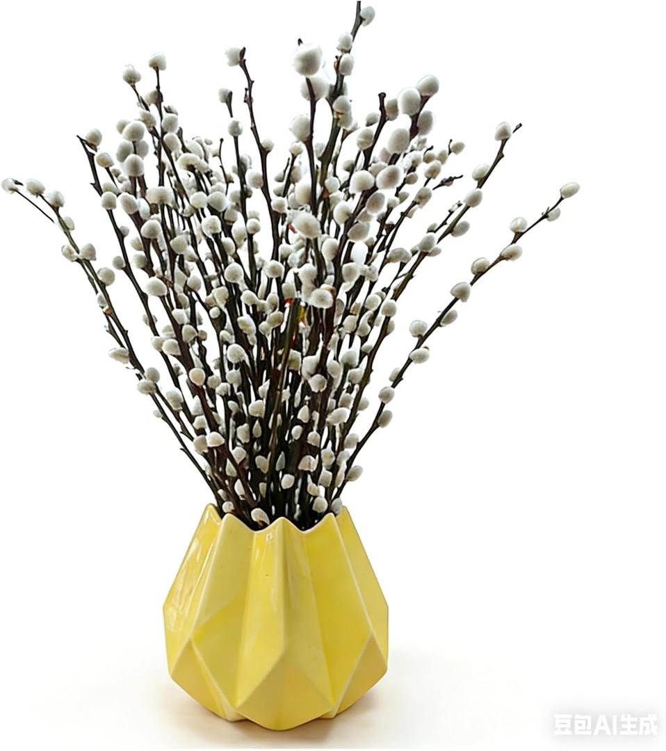 60 Stems 100% Natural 17.5 Inches Real Pussy Willow Flowers Pussy Willow Branches for Vases White Pussywillows for China Spring Festival Easter Wedding Home Party Hotel Fireplace Decor