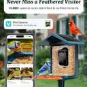 Bird Feeder with Camera Solar Powered, 2K Live Arrival Alert Auto Capture Video with 32GB TF Card, AI Identify Smart Camera Bird Feeder Ourdoor Backyard Gift for Mom Dad Birdlover, 2.4G WiFi