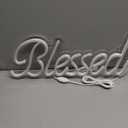 DIVATLA Blessed Neon Sign for Wall Decor, Blessed LED Light Up Signs for Bedroom, Dimmable & Reusable for Office Studio Lounge, Blessed Gifts for Friends & Family, USB Powered 17"x7" Warm White