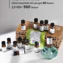 Waterless Diffuser with 12 Pack Hotel Fragrance Oils, Battery Operated Nebulising Diffuser for Home, Luxury Essential Oil Blend Inspired by 5-Star Hotels, Aromatherapy Gift Set