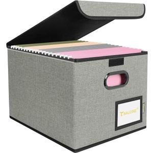 BALEINE File Organizer Box with Lid, Collapsible Hanging File Storage Box
