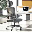 Office Chair, Ergonomic Mesh Desk Chair with Adjustable Lumbar Support and Headrest, Flip-up Armrests, High Back Computer Task Chair for Home and Executive Office (G-All Grey)