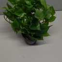 JPSOR Artificial Indoor Plants for Home Decor, 12 inches Pothos in Black Ceramic Pot with Iron Wire, 1 Count