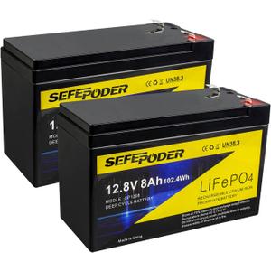 12V 8Ah Lifepo4 Lithium Deep Cycle Battery 2 Pack, 2000+ Cycle Rechargeable Battery for Small Solar, Power Wheels, Lighting, Fish Finder, Off-Grid Applications with Built-in 10A BMS