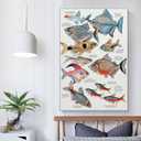 JHXNJDPOST Tropical Fish Poster Fishing Aquarium Educational Knowledge Canvas Wall Art Aesthetic Decorative Painting Living Room Restaurants, Pool Halls And Classroomstyle 16x24inch(40x60cm)