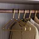 Premium Matte Gold Aluminum Coat Hangers 10 Piece Set, 16.5 Extra Smooth & Durable Metal Shirt Dress Hanger,Aluminum Alloy Hanger,Clothing Support,Clothing Hang, JS10