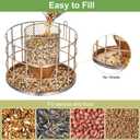 Metal Caged Bird Feeder, Squirrel Proof Bird Feeders for Outdoors Hanging, Wild Birds Feeder for Small Sparrows Finchs, Squirrel Chew-Proof Birdfeeder for Outside Backyard Birding Watching Gifts