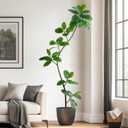 6.6 Ft Artificial Rubber Tree Faux Plants Indoor Faux Floor Artificial Trees Indoor, Fake Plant Fake Tropical Plants, Large Floor, Real Touch Rubber Tree for Home Decor (Green)