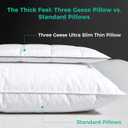 Three Geese Ultra Thin Flat Goose Down Feather Pillows for Sleeping Standard Size, 2.5" Height, 100% Cotton Cover, Ultra Slim Hotel Collection Bed Pillow for Stomach, Back Sleeper, 18x26 in.