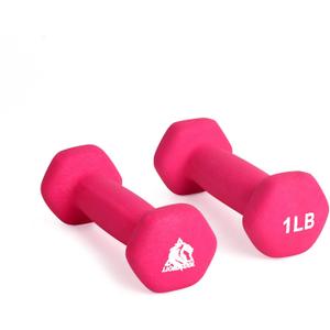 LIONSCOOL Set of 2 Neoprene Coated Dumbbell Hand Weights, Anti-Slip and Anti-Roll Hex Dumbbells in Pair for Strength Training, Resistance Training