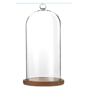 Farmlyn Creek Glass Cloche Dome Bell Jar Display Case with Wooden Base for Plants, Collectibles (5.1x10 in)