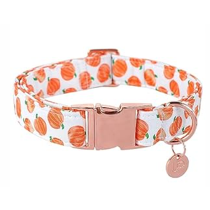 UP URARA PUP Halloween Dog Collar with Metal Buckle Gift Fall Dog Collar for Small Medium Large Girls or Boys Dogs Cute Pumpkin Cotton Pet Collars
