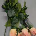 15 Pcs Champagne Rose Buds Silk Artificial Flower 17" Silk Bud Realistic Design Faux Rose Artificial Flower with Stem for DIY Bouquets Wedding Centerpiece Party Kitchen Home Decor
