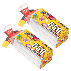 GAONENG GNB LiPo Battery 6S 650mAh 22.2V 160C 320C Long Range Free Style Drone FPV XT60 Plug, 2pcs