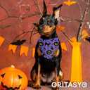 Halloween Dog Bandanas for All Dogs (2-Pack Triangle Reversible Pet Scarves) (Pumpkin Cats Boo) Premium Fabric Holidays Bandana, Purple X-Large Y