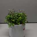 Artificial flowers in a pot