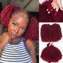 Afro Kinky Bulk Blend Semi Hair 18 Inch 100 Gram Afro Kinky-Curly Blend Hair Bulk for Mini Twist Dreadlock Extensions Micro Locs Repair Soft 4C Curly for Braids (Bug)