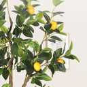 5FT Artificial Lemon Tree with Pot - 60" Fake Lemon Tree with White Tall Planter, Faux Lemon Plant with Realistic Fruits and Silk Leaves, Artificial Plants Indoor for Home Office Kitchen Decor