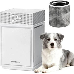 Air Purifiers for Home Large Room for Odor Smoke