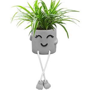 Uguisu 1 Piece Gray Cute Smiley Cement Planter, Small Plant Pot, Indoor Succulent Pot, Fun Planter with Hanging Feet for Living Room, Office, Desk and Bathroom Shelf Decor (Plants Not Included).