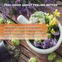 Similasan Earache Relief, 2 Count (0.33 Ounce (Pack of 2))