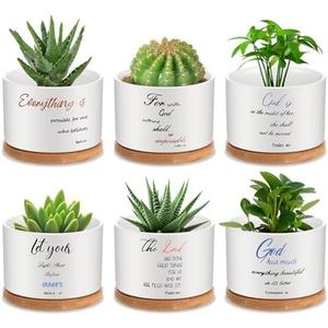 Mifoci 6 Pcs Bible Verse Succulent Pot Christian Bible Verse Gifts Set Ceramic Mini Floral Succulent Planters with Bamboo Tray 3 x 3 x 2 Inches Plant Pots Decorative for Garden Birthday