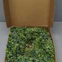 26'' Eucalyptus Wreath for Front Door - Large Artificial Eucalyptus Leaves with White Seeds Greenery Outdoor Wreath for Porch,Window,Farmhouse,Home,Hanging Decor- Spring, Summer, All Seasons (Green)