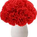 Silk Carnation Flower, 50 Artificial Flowers, Used for Wedding Decoration DIY Handmade Flowers, Carnation Flower Diameter 3.5 Inches and 6 Inches Stem (Red)