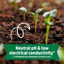 Back to The Roots Organic Seed Starting, Compressed Block expands to 12 Quarts, Made for Herbs, Veggies, Flowers