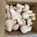 Blulu 30 Pcs Big Sizes Unfinished Wooden Mushroom Natural Wooden Mushrooms Unpainted Art Project Crafting and Fairy Themed Spring Summer Decor and Crafts Projects Decoration DIY Paint Color