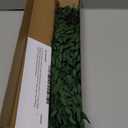 Real Eucalyptus Stems Greenery Decor 20PCS 17" Dried Willow Eucalyptus Plant Preserved Greenery Stems for Home Vase Filler Wedding Flowers Arrangement Spring Decorations