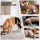 Dog Leg Sleeve for Back Legs, Adjustable Recovery Wrap, Breathable Medical Bandage, Protective Wound Care Sleeve, Comfortable Cone Alternative, Black, Large