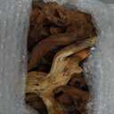 majoywoo Natural Small Driftwood for Aquarium Decor Reptile Decor, Assorted Driftwood Branch 2-4.5" 10 Pcs, Fish Tank Decorations