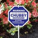 Imagine This S3862 Security Sign