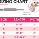 Epesiri Adjustable Wide Spiked Dog Collar, Mushroom Rivet PU Leather Cat Dog Collars, Durable Spike Studded Pet Collar for Small Medium Large Breed, PitBull Mastiff Bulldog Pugs Husky Rottweiler, Pink, XS