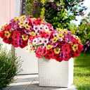 Artificial Flowers For Outdoors, 24 Bundles UV Resistant Fake Outdoor Flowers Faux Artificial Flower Plastic Plants for Outside Garden Porch Window Pot Spring Summer Home Decor (Multi Color-B, 24) (Rose Red+pink+purple+yellow+fern)